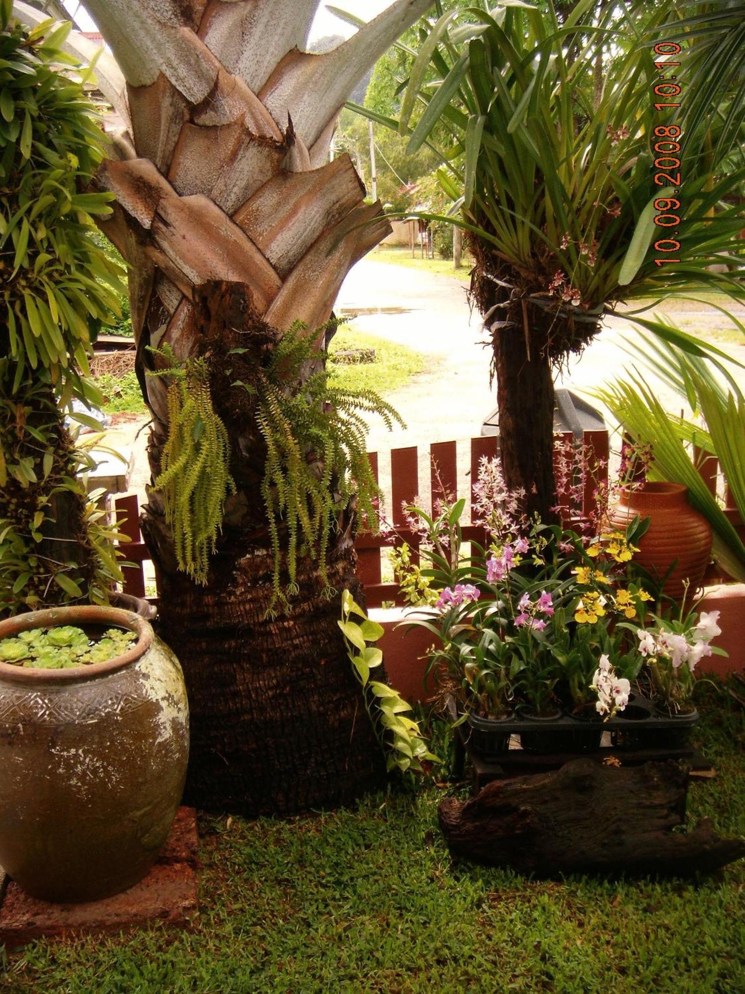 Ao Nang Home Stay - Adults Only Exterior foto